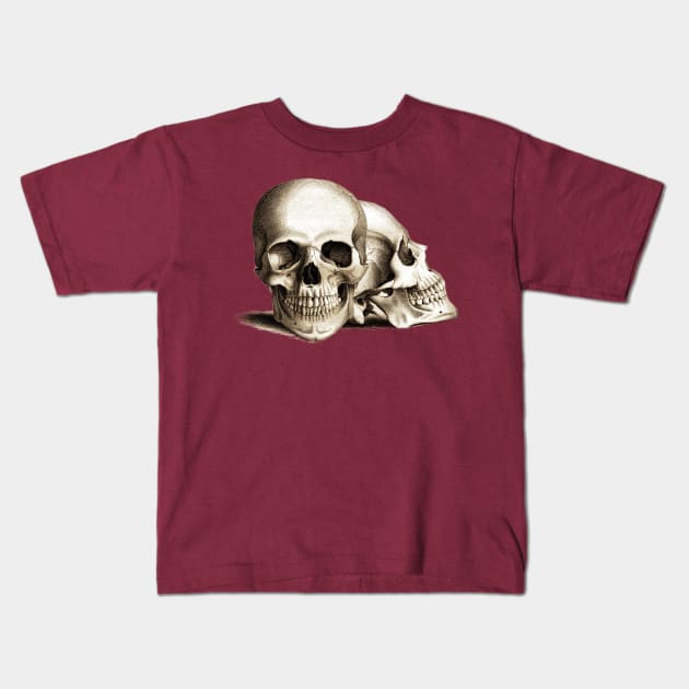 Two For Joy - Anatomical Drawing Of A Skull Kids T-Shirt by The Blue Box